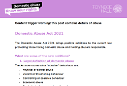 Domestic Abuse Act 2021 preview image